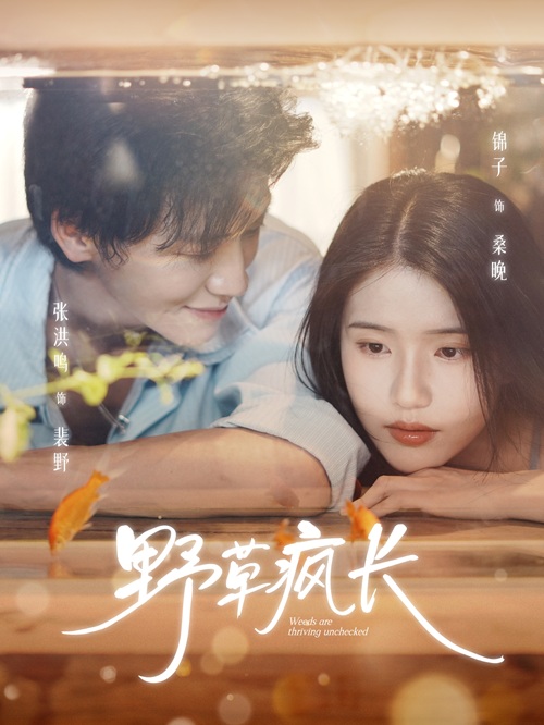 Cỏ Dại Mọc Um Tùm