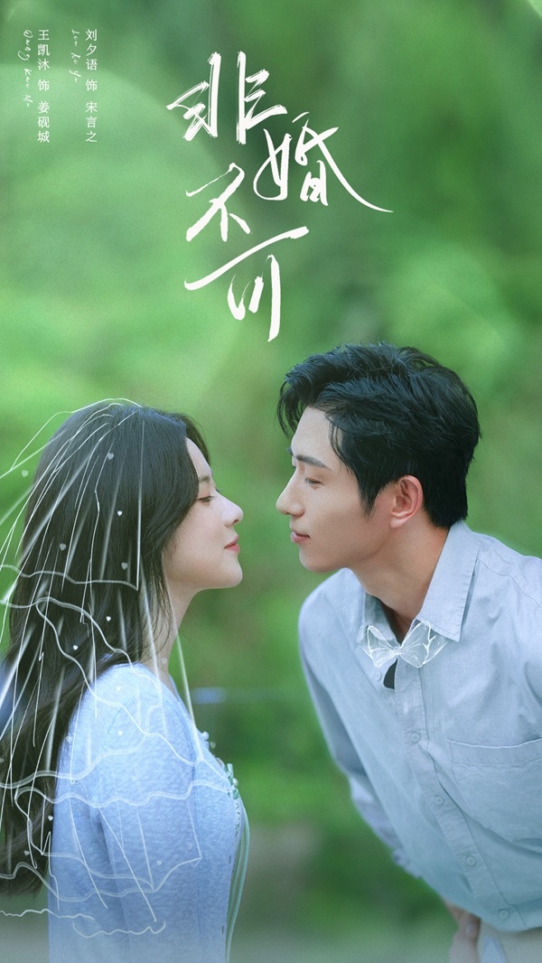 Nhất Định Phải Cưới