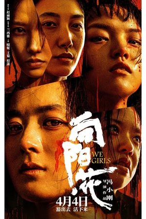 Những Đóa Hoa Hướng Dương