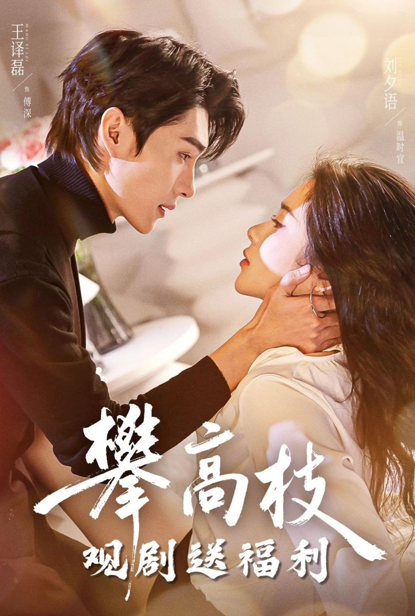 Trèo Cao ( Bám Cành Cao)